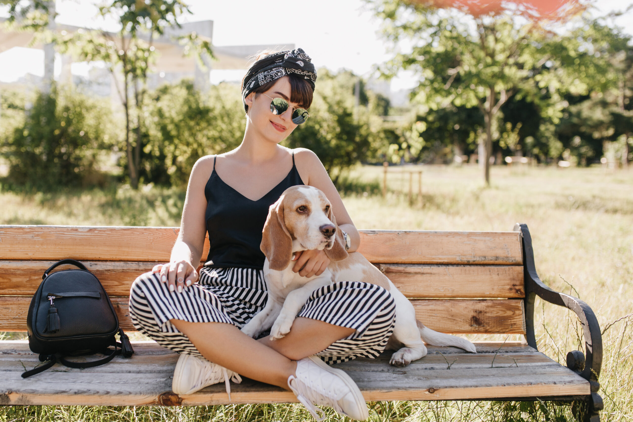 Attractive brunette lady in striped pants sitting with legs crossed and stroking beagle dog. Stylish smiling girl resting on bench with puppy near leather bag in sunny day.